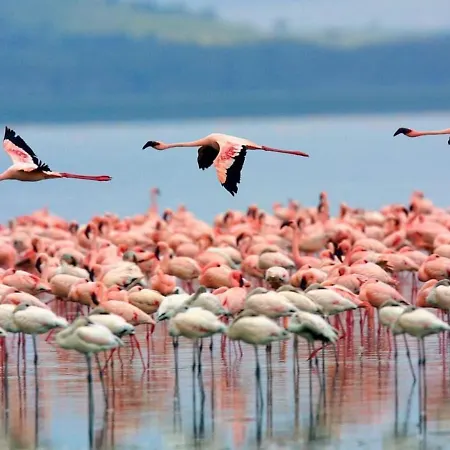 Nyaraló Nel Cuore Di Castello *